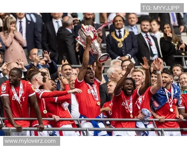 京多安的足球之路：从德甲明星到英超冠军的辉煌历程与未来展望