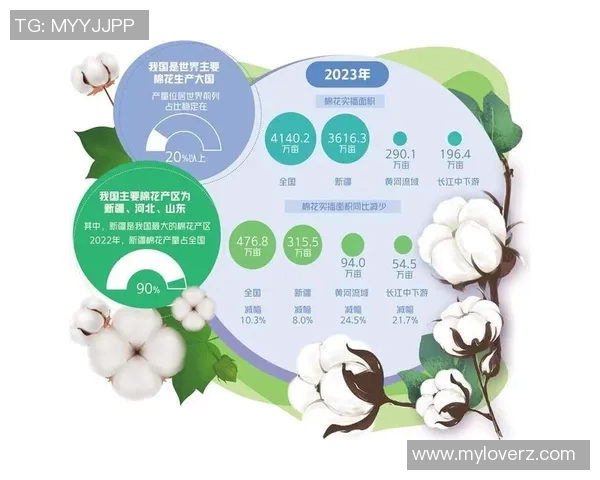 棉农独立分析:探讨棉花产业链中的挑战与机遇 棉农独立分析:探讨棉花产业链中的挑战与机遇