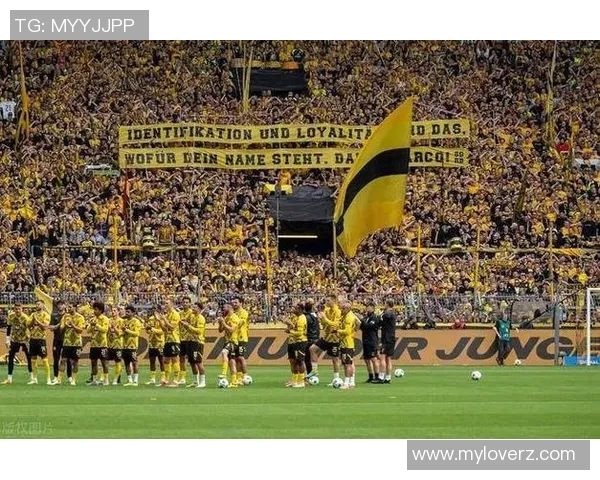 多特蒙德与摩纳哥比赛结果分析及精彩瞬间回顾