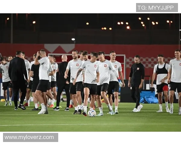 世预赛丹麦对阵波兰全方位战术分析与比赛前瞻