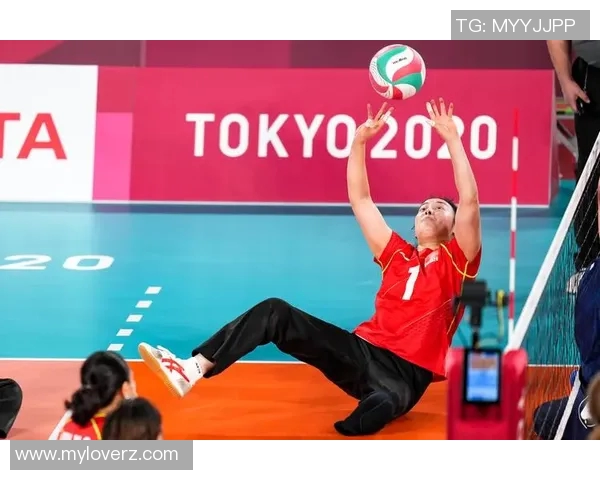 深度对话赵伟的排球人生探索与成长之路